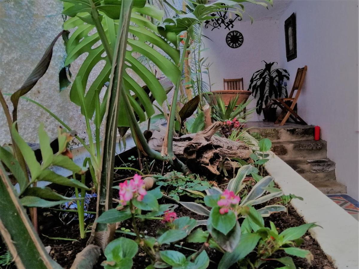 דירות Angra do Heroísmo Bayview House מראה חיצוני תמונה